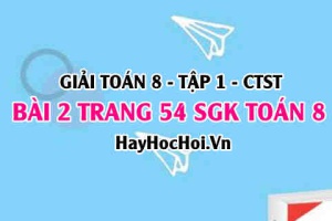 Giải bài 2 trang 54 Toán 8 Tập 1 SGK Chân trời sáng tạo
